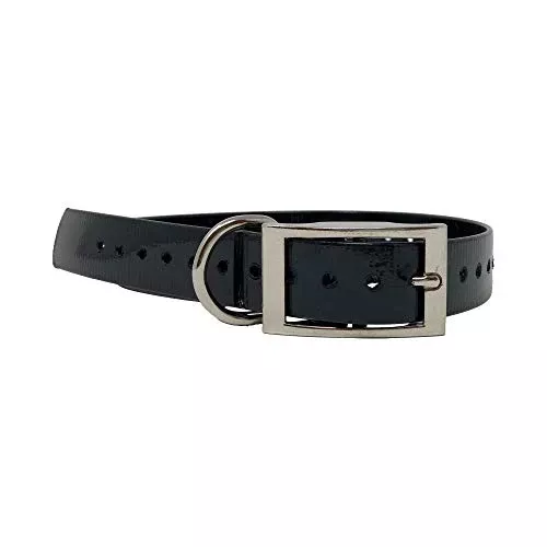 1" Wide Replacement Pet Collar Strap - Black