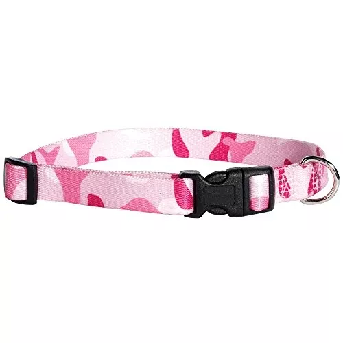 Casual Canine Camo Dog Collar, 6-10-Inch, Pink