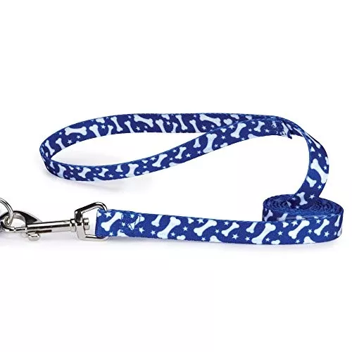 Casual Canine Pooch Patterns Dog Leash, 4-Feet x 5/8-Inch Lead, Blue Bone