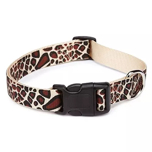 East Side Collection Cheetah-Print Nylon Dog Collar, 10–16 Inch