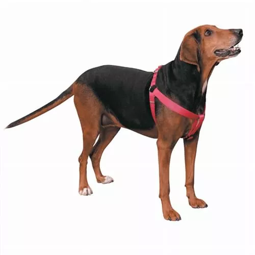 Guardian Gear Nylon 2-Step Dog Harness, Fits Chests 25" to 40", Maliblu Blue,ZA807 25 62
