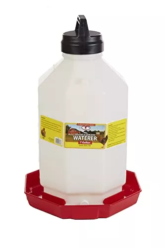 Little Giant Plastic Poultry Waterer | Heavy Duty Plastic Gravity Fed Water Container | Easy to Fill | Snap on Jar | 7 Gallons
