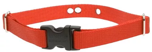 LupinePet Basics 3/4" Red 16-24" Containment Collar Strap for Medium and Larger Dogs