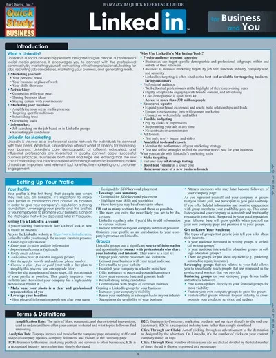 PlayTime Linkedin For Business & You Quickstudy Easel