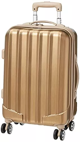 Rockland Melbourne Hardside Expandable Spinner Wheel Luggage, Bronze, Carry-On 20-Inch