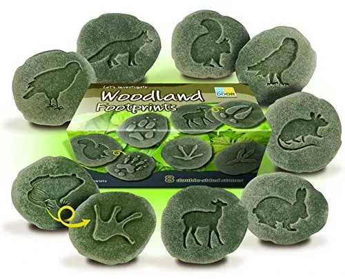 Yellow Door Let’s Investigate Woodland Footprints Double Sided Stones with Animal Tracks and Animal Picture, Create Fun Animal Games with Fossil Set, Stone, Set of 8, Toddler Toys for 3 Years & Up
