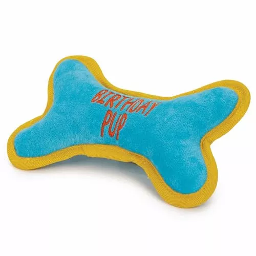 Zanies ZA Birthday Pup Bone Blue